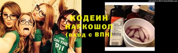 ГАЛЛЮЦИНОГЕННЫЕ ГРИБЫ Няндома