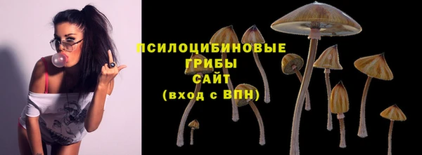 ГАЛЛЮЦИНОГЕННЫЕ ГРИБЫ Няндома