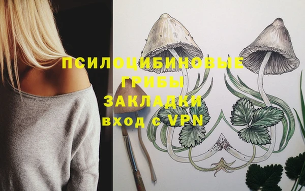 ГАЛЛЮЦИНОГЕННЫЕ ГРИБЫ Няндома