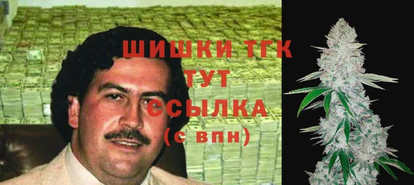 ГАЛЛЮЦИНОГЕННЫЕ ГРИБЫ Няндома