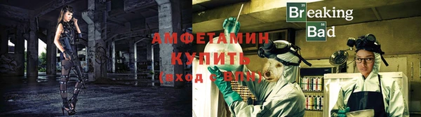 стафф Новозыбков