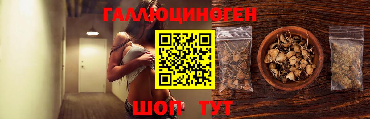 Codein  Cocaine  ТГК  АМФ кристаллы  Меф МЯУ МЯУ кристаллы  Гашиш  Заводоуковск  Конопля  NBOMe  Продажа наркотиков  Вход с VPN 